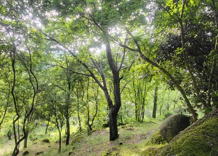 Euganea 3* Torreglia