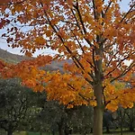 Euganea