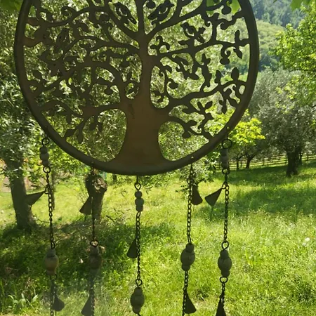 Bed & Breakfast Euganea