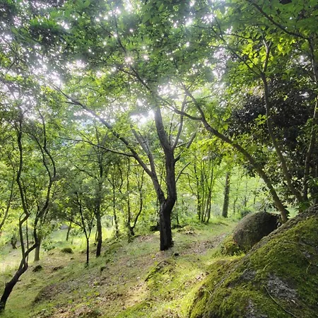 Euganea 3* Torreglia