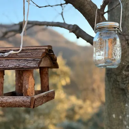 Euganea Отель типа 