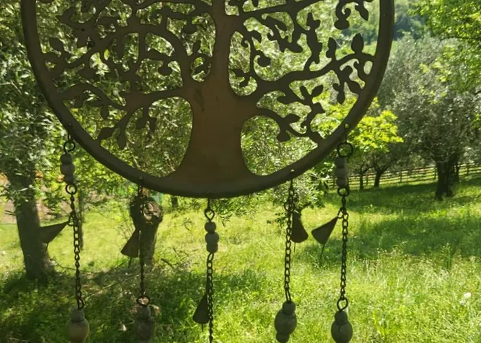 Bed & Breakfast Euganea