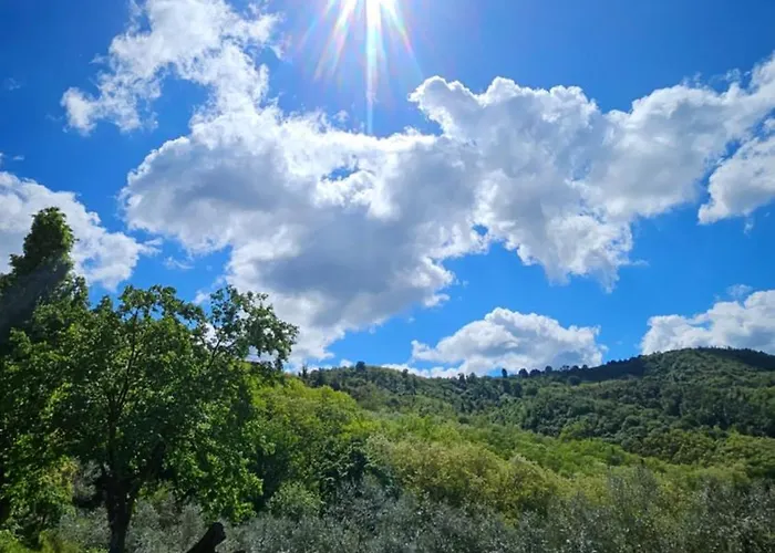 Euganea Bed & Breakfast 3*