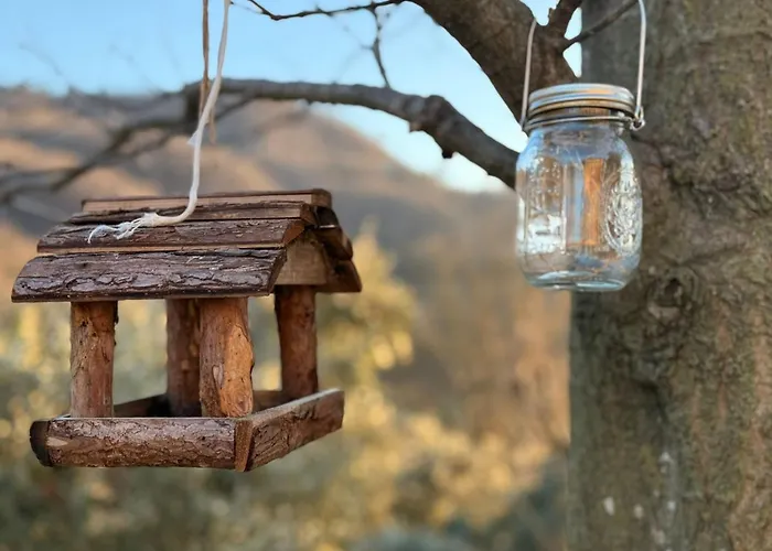 Euganea Bed & Breakfast