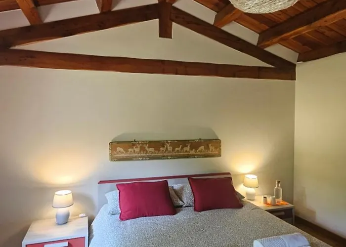 Euganea Bed & Breakfast